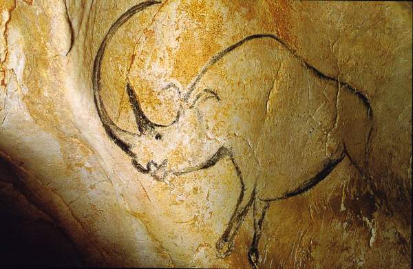 Rhinocéros peint dans la grotte Chauvet