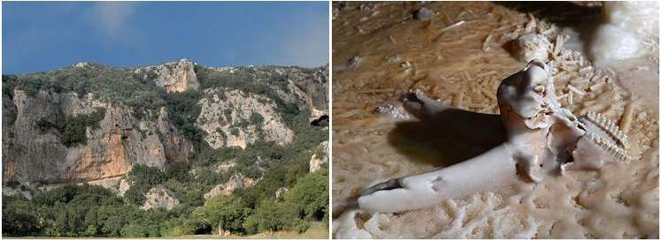 Vues de la grotte Chauvet